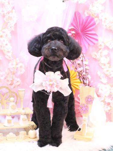 20250328アロちゃん